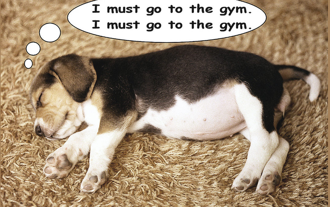 6 Excuses Holding You Back From Losing Weight