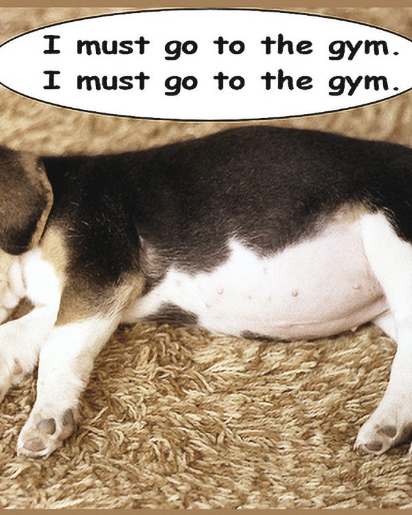 6 Excuses Holding You Back From Losing Weight