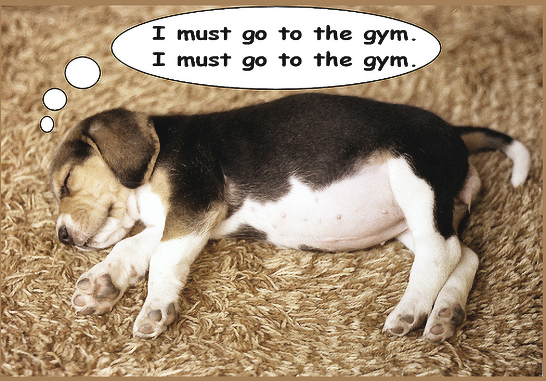 6-Excuses-Holding-You-Back-From-Losing-Weight 6 Excuses Holding You Back From Losing Weight