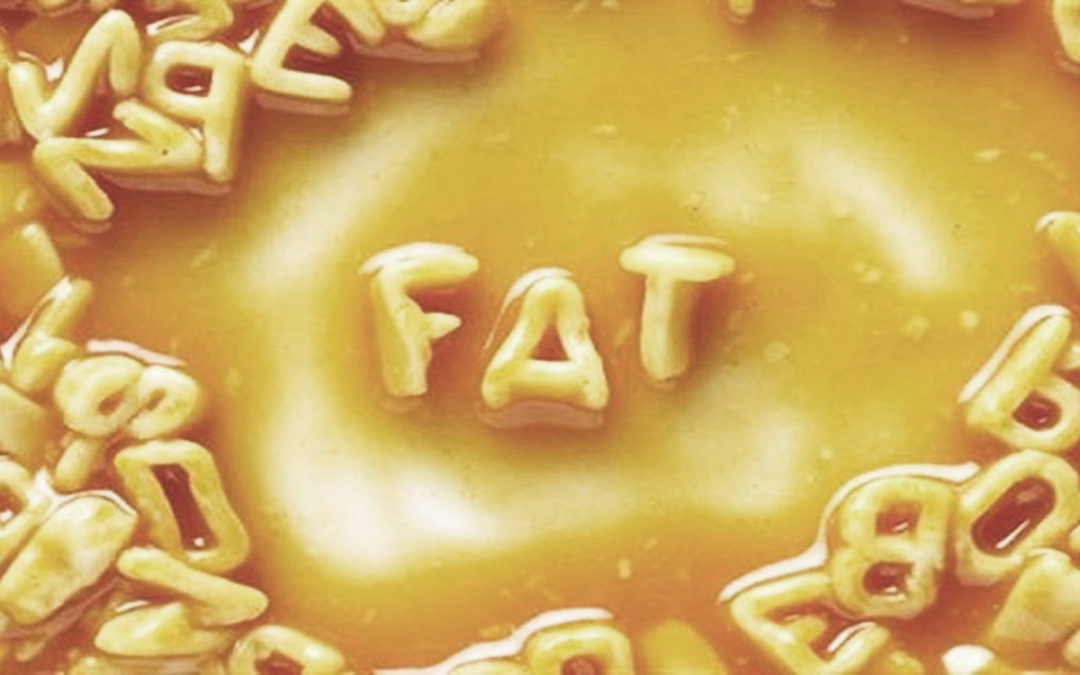 Our Love Hate Relationship With Fat: What Fat Is Good For?