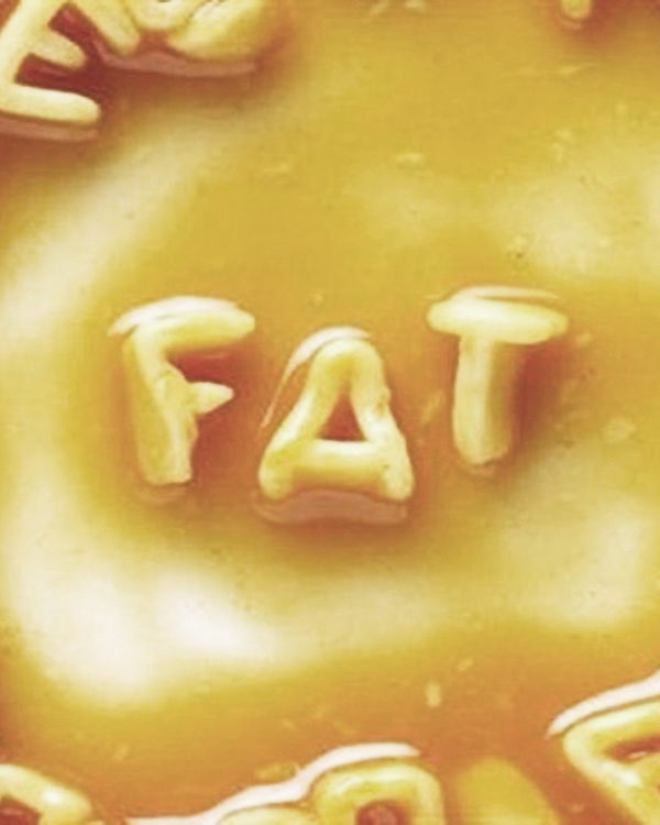 Our Love Hate Relationship With Fat: What Fat Is Good For?