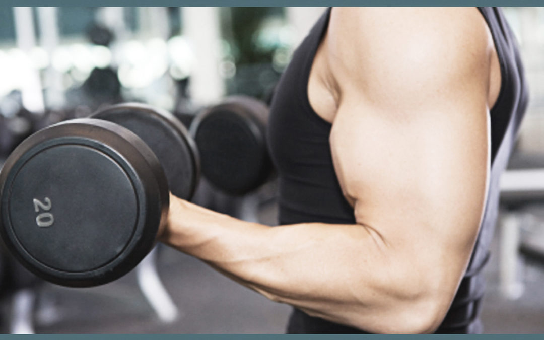 Specialisation for Lagging Body Parts: Grow Your Weakest Muscles