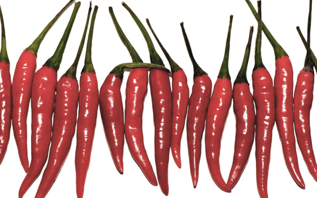 Speed Up Your Metabolism By Slowing Down Your Eating