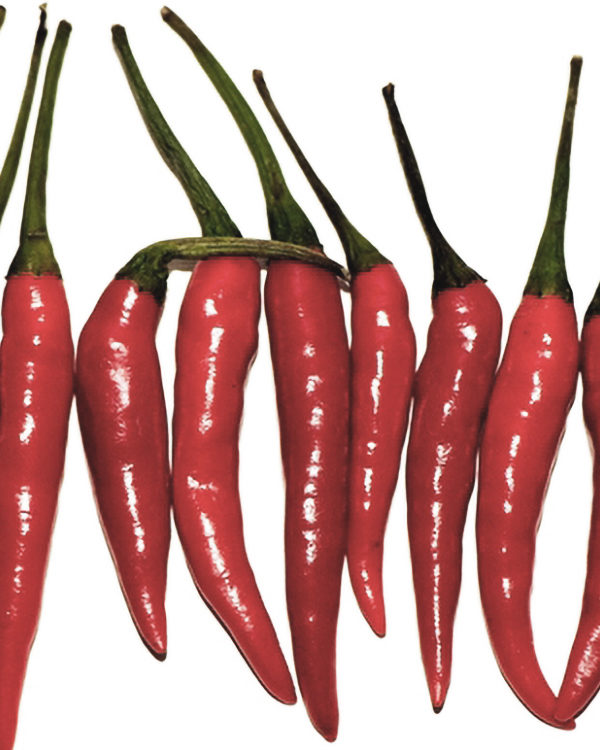 Speed Up Your Metabolism By Slowing Down Your Eating