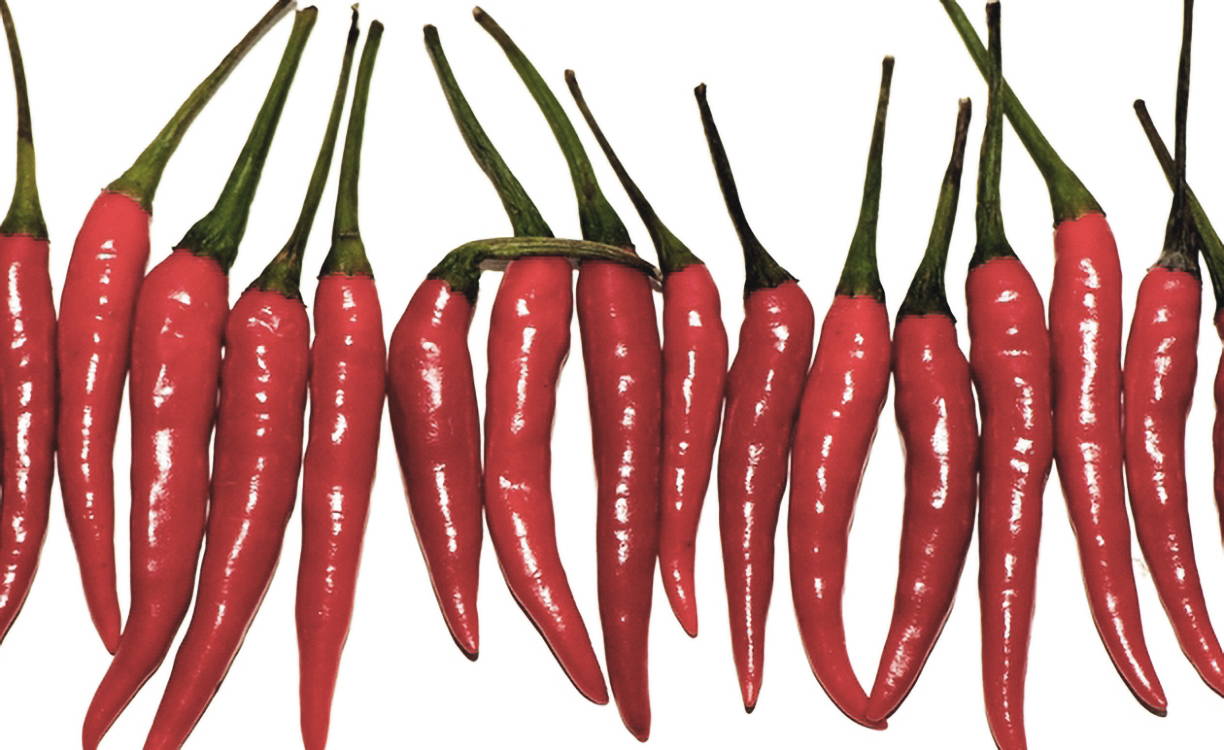 Speed-Up-Your-Metabolism-By-Slowing-Down-Your-Eating Speed Up Your Metabolism By Slowing Down Your Eating