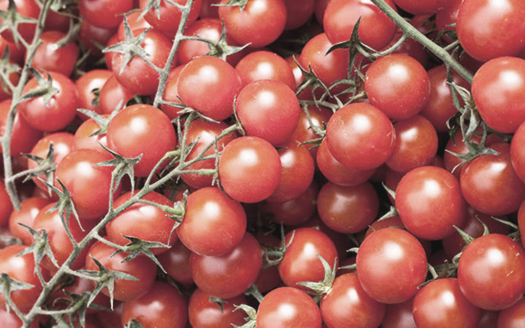 Health Benefits of Tomatoes