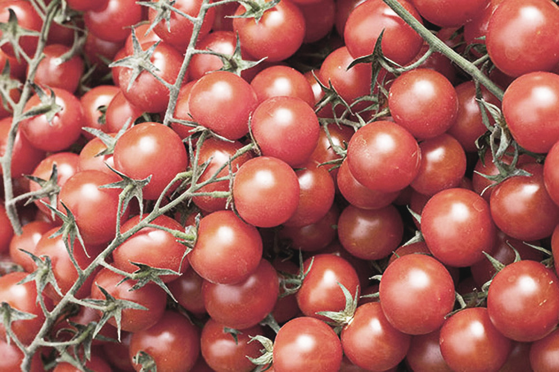 Health Benefits of Tomatoes