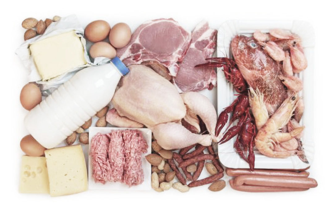 Protein Intake: How Much Do I Need and Where do I get it?