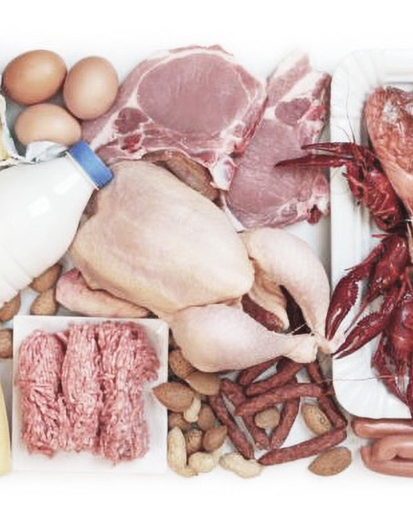 Protein Intake: How Much Do I Need and Where do I get it?