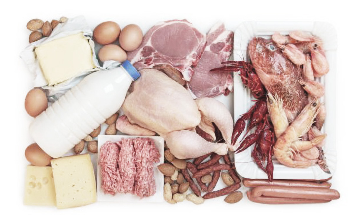 protein-intake-how-much-do-i-need-and-where-do-i-get-it Protein Intake: How Much Do I Need and Where do I get it?