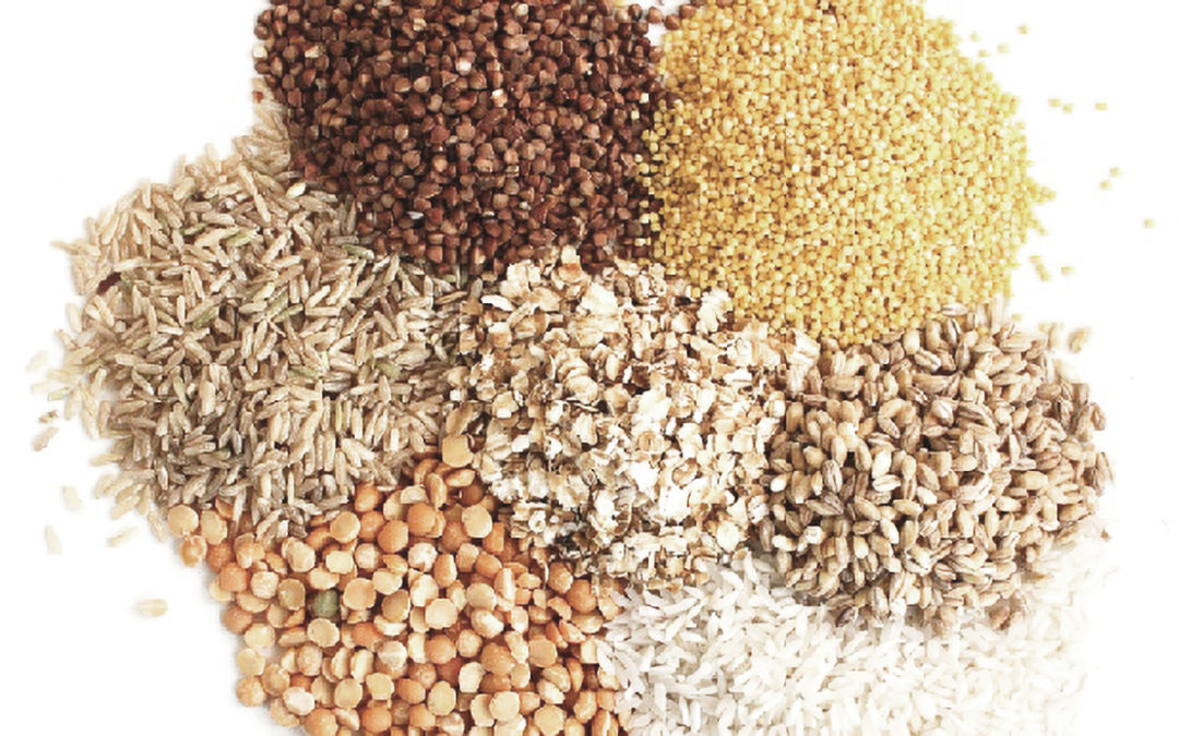 Grains: What’s The Fuss About