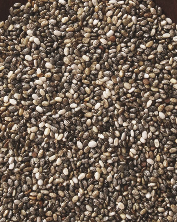 Everything You Need To Know About Chia Seeds