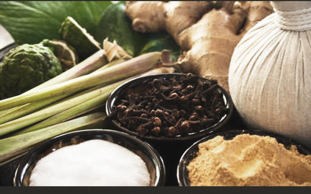 Survive Winter With Your Nutrition