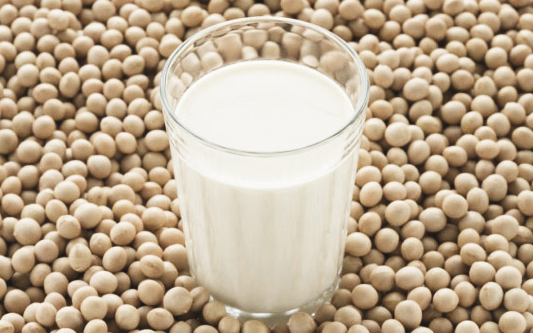 Why Soy Products Are Bad For You