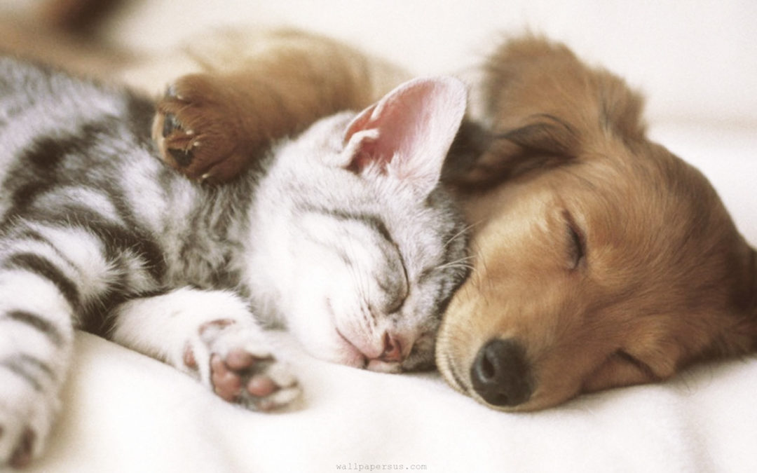 Science Says We Must Cuddle More