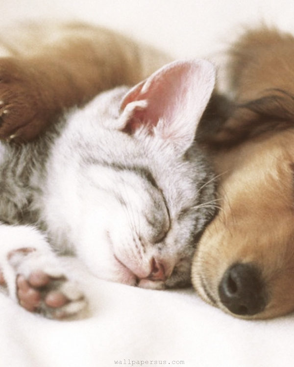 Science Says We Must Cuddle More
