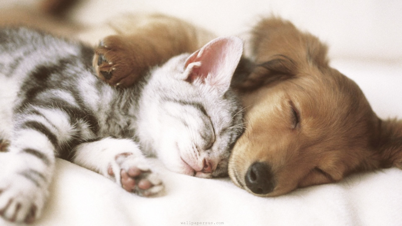 science-says-we-must-cuddle-more Science Says We Must Cuddle More