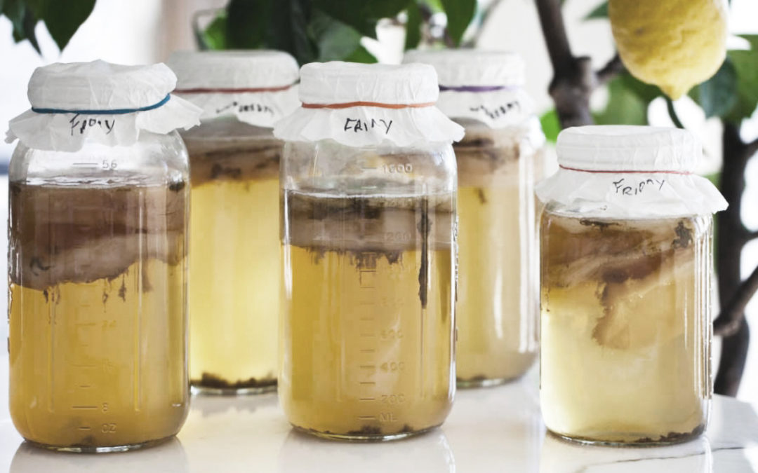 Kombucha: A Secret To Your Gut’s Health