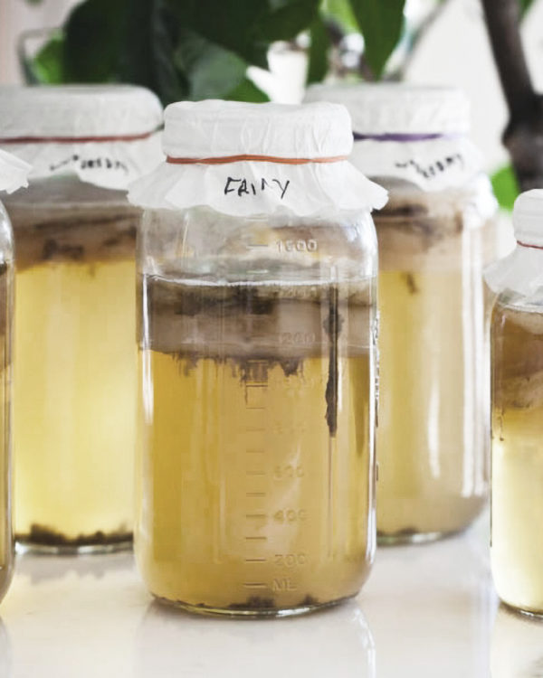 Kombucha: A Secret To Your Gut’s Health