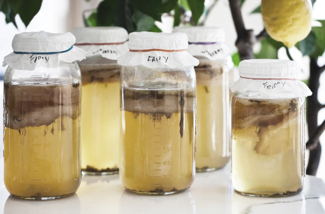 Kombucha: A Secret To Your Gut's Health