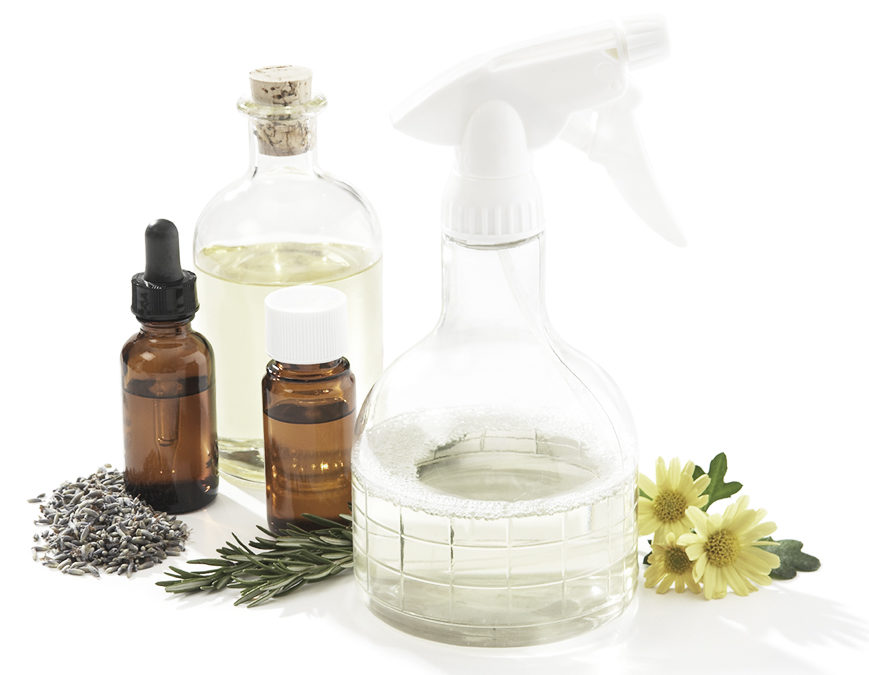 Home Detoxification Series: Common Household Products