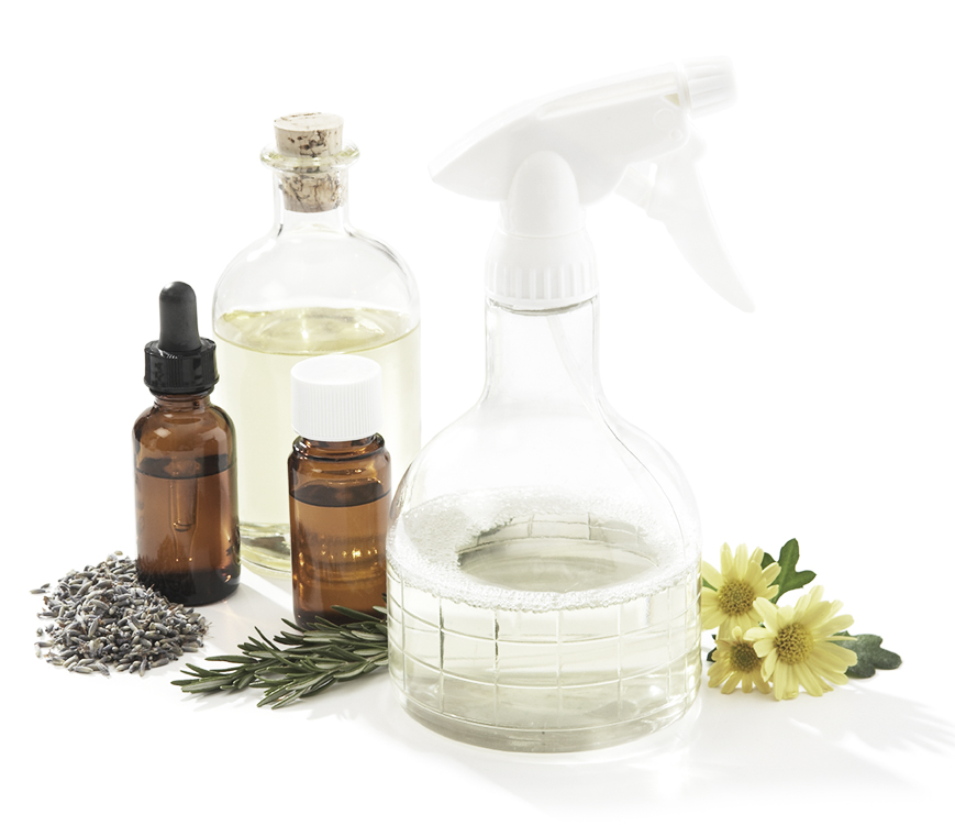 ingredients-to-make-generic-green-cleaning-products Common Household Products for Home Detoxification
