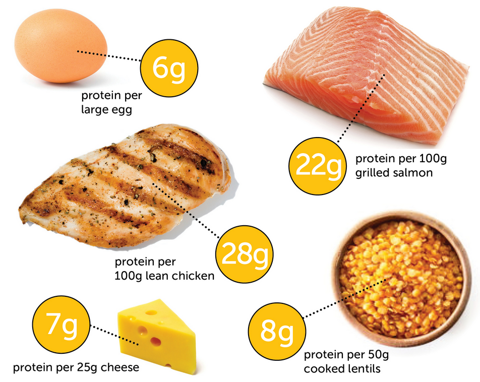 how much protein you need per day