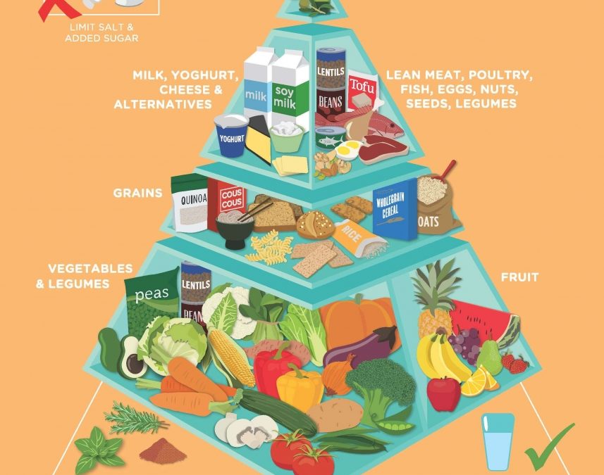 The NEW Food Pyramid is Official
