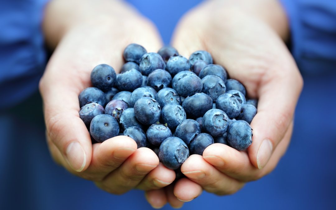 Anti-Inflammatory Diet: Which Foods to Eat & Avoid