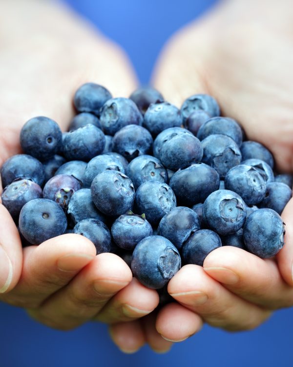 Anti-Inflammatory Diet: Which Foods to Eat & Avoid