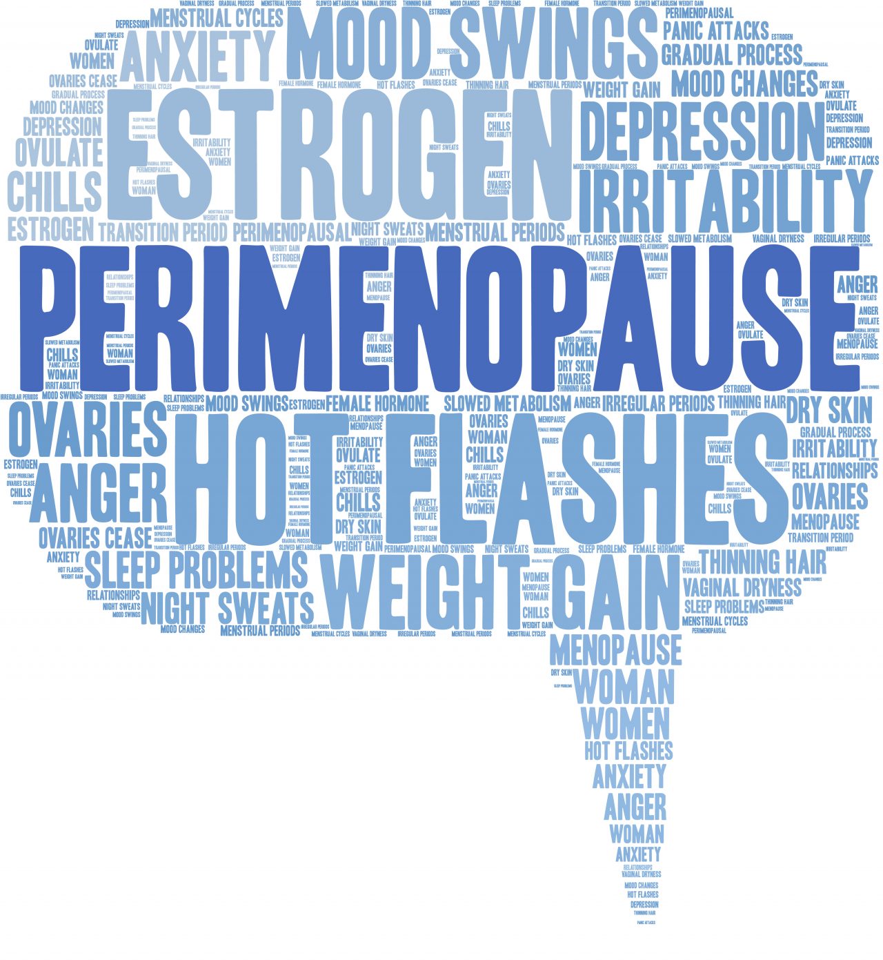 Perimenopause: What Every Woman Needs to Know - Amelia Phillips